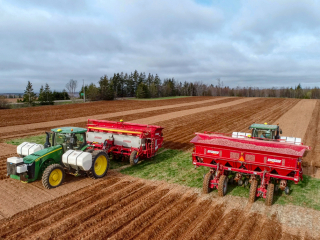 PEI potato harvesting PEI potato harvesting