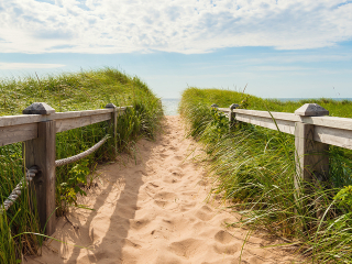stock-dunes-walk
